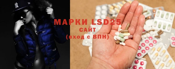 ПСИЛОЦИБИНОВЫЕ ГРИБЫ Заволжье