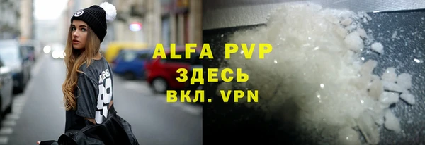 ПСИЛОЦИБИНОВЫЕ ГРИБЫ Заволжье