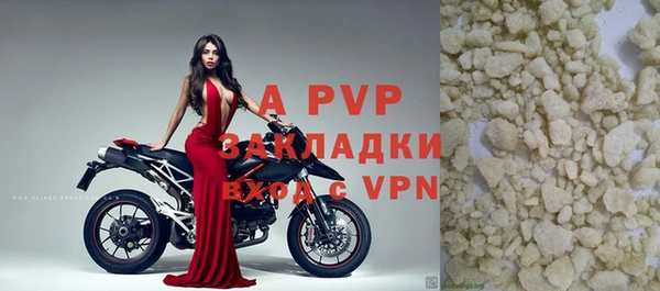 ПСИЛОЦИБИНОВЫЕ ГРИБЫ Заволжье