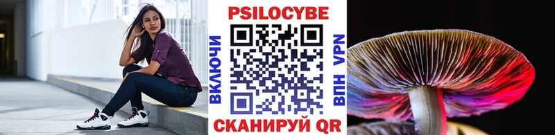 Купить  Инза  Галлюциногенные грибы прущие грибы 